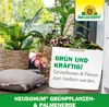 Neudorff NeudoHum Grünpflanzen & PalmenErde - 3 Liter Produktbild-Vorschau 9