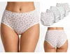 Damen Slips 4er Pack 100% Baumwolle – Taillenslip mit hohem Produktbild-Vorschau 2