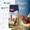 PANTO LMK Legemehlkorn (3 mm gekörnt) 25kg - Hühnerfutter Produktbild-Vorschau 2