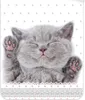 Kätzchen Katze - Wende-Bettwäsche-Set mit Kitten, 135x200 & Produktbild-Vorschau 3