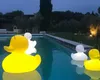 DUCK-DUCK Lamp (S) weiß by Goodnight Light Akku-LED Lampe Produktbild-Vorschau 7