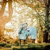 Horseware Ireland Fliegendecke Amigo Bug Buster Plus Produktbild-Vorschau 3