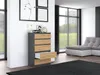 Topeshop M5 ANTRACYT/ARTISAN, Anthrazit, Eiche, 5 Produktbild-Vorschau 11