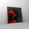 Bilder auf glas - Blume rote rose wasser tau - 40x40cm - Produktbild-Vorschau 4
