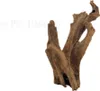 Curvatura di mangrovia circa 20-30 cm Anteprima dell’immagine prodotto 1