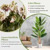 COSTWAY Künstlicher Bananenbaum 195cm im Topf, Produktbild-Vorschau 7