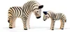 Ostheimer Zebra Produktbild-Vorschau 3