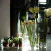 Dekoglas Jardiniere Schale RECTANGULAR 30x20x10cm klar Produktbild-Vorschau 2