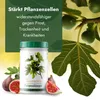 Meine Orangerie Feigenbaum Dünger [1kg] - Premium Dünger Produktbild-Vorschau 5