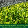 Gyokuro zielona herbata cieniowana z ekologicznych upraw w Podgląd zdjęcia produktu 2