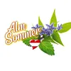 Sonax Scheibenreiniger Alm Sommer gebrauchsfertig 5 02 Produktbild-Vorschau 14