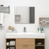 vidaXL Miroir mural 60x40 cm verre Voir les images du produit 8