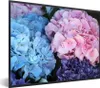 MuchoWow® Gerahmtes Poster Blumen - Strauch - Hortensie - Produktbild-Vorschau 1