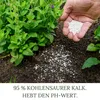 HaGaFe Rasenkalk, Gartenkalk, 2 x 15kg, Garten, Rasen, Produktbild-Vorschau 6