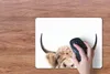 MuchoWow® Mauspad Mousepad Kuh - Hörner - Tiere - Natur Produktbild-Vorschau 3