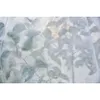 BRADAS Agrofibre 30g/m² bianco inverno-primavera, 10x1,1m Anteprima dell’immagine prodotto 7