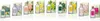 Acqua Colonia 4711 Fresia & Muschio Eau de Cologne Spray Anteprima dell’immagine prodotto 5
