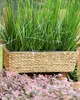 A rectangular planter filled with tall green grass sits on a wooden surface, with blurred pink foliage in the foreground. Podgląd zdjęcia produktu