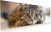 Glasbild 100x40cm in XXL für Wohnzimmer, Schlafzimmer Motiv Produktbild-Vorschau 1