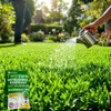 EcoDeco - Semences de trèfle nain pour gazon - Mélange de Voir les images du produit 6