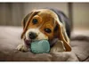 Beeztees Puppy Dental - Jouet pour chien - caoutchouc - Voir les images du produit 4