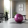 tiguar body ball safety plus 65 cm - prugna Anteprima dell’immagine prodotto 16