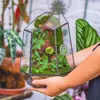 Terrarium géométrique en verre avec aération - Jardinière Voir les images du produit 2