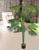 Palmier Tallipot Rônier Plante Arbre Artificielle Voir les images du produit 2