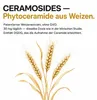 Ceramide Kapseln – CERAMOSIDES Phytoceramide 30mg mit Produktbild-Vorschau 3
