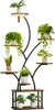 Scaffale per piante con luce LED - Scaffale per fiori a 8 Anteprima dell’immagine prodotto 12