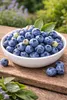 Heidelbeere Vaccinium Bluecrop ca. 60 cm – ertragreiche Produktbild-Vorschau 2