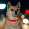Collare LED per cani, ricaricabile tramite USB, regolabile Anteprima dell’immagine prodotto 3