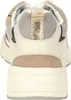 Gabor FLORENZ Damenschuhe - Halbschuhe - Sneaker beige Produktbild-Vorschau 6
