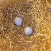 Kerbl 730-04/2 Gliniane jajka lęgowe, białe (opakowanie 2 Podgląd zdjęcia produktu 4