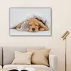 MuchoWow® - Leinwandbilder - Haustiere - Hund - Katze - Produktbild-Vorschau 6