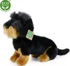Peluche Bassotto a Pelo Duro 30 Cm Ecologico Anteprima dell’immagine prodotto 1