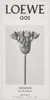 A product shot of a perfume box with a floral image. Voir les images du produit