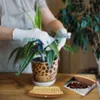 TOPANBIETER 999 Premium Tischkehrset 2-teilig – Mini Produktbild-Vorschau 7