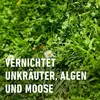 Compo Vorox Unkrautfrei Express 1 L KONZENTRAT Produktbild-Vorschau 11