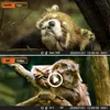 3 Stück Wildkamera 4K Video Wildtierkamera 48MP mit 32GB Produktbild-Vorschau 6