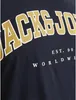 Jack & Jones Caleb Varsity Plus Kurzarm-t-shirt Blau 4XL Produktbild-Vorschau 5