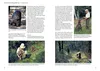 Vom Welpen zum Jagdhelfer Produktbild-Vorschau 4