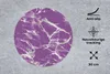 MuchoWow® Mauspad Mousepad Violett - Weiß - Marmor - Muster Produktbild-Vorschau 2
