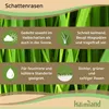 Premium Schattenrasen Rasensamen schnellkeimend  5 kg = Produktbild-Vorschau 3