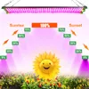 Pflanzenlampe Plant Lamp LED Full Spectrum Grow Lights for Produktbild-Vorschau 3