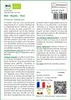 SAFLAX  -- Basilic - Thaï - 250 graines - Ocimum Voir les images du produit 3
