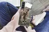 MuchoWow® Handyhülle Schutzhülle Hülle für Samsung Galaxy Produktbild-Vorschau 3