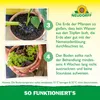 Neudorff SF Nematoden gegen Trauermücken - 5 Mio - für 50 Produktbild-Vorschau 6
