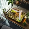An aquarium with a LED light on a wooden table, surrounded by plants. Náhled obrázku produktu