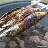 PAPSTAR Grill-Spieße "pure" 80 cm, ideal für Steckerlfisch Produktbild-Vorschau 2